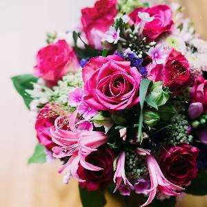 santinokarabj19 santinokarabj19